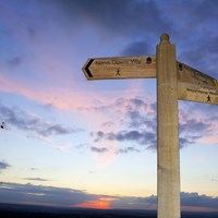 Banner - signposts.jpg (1)