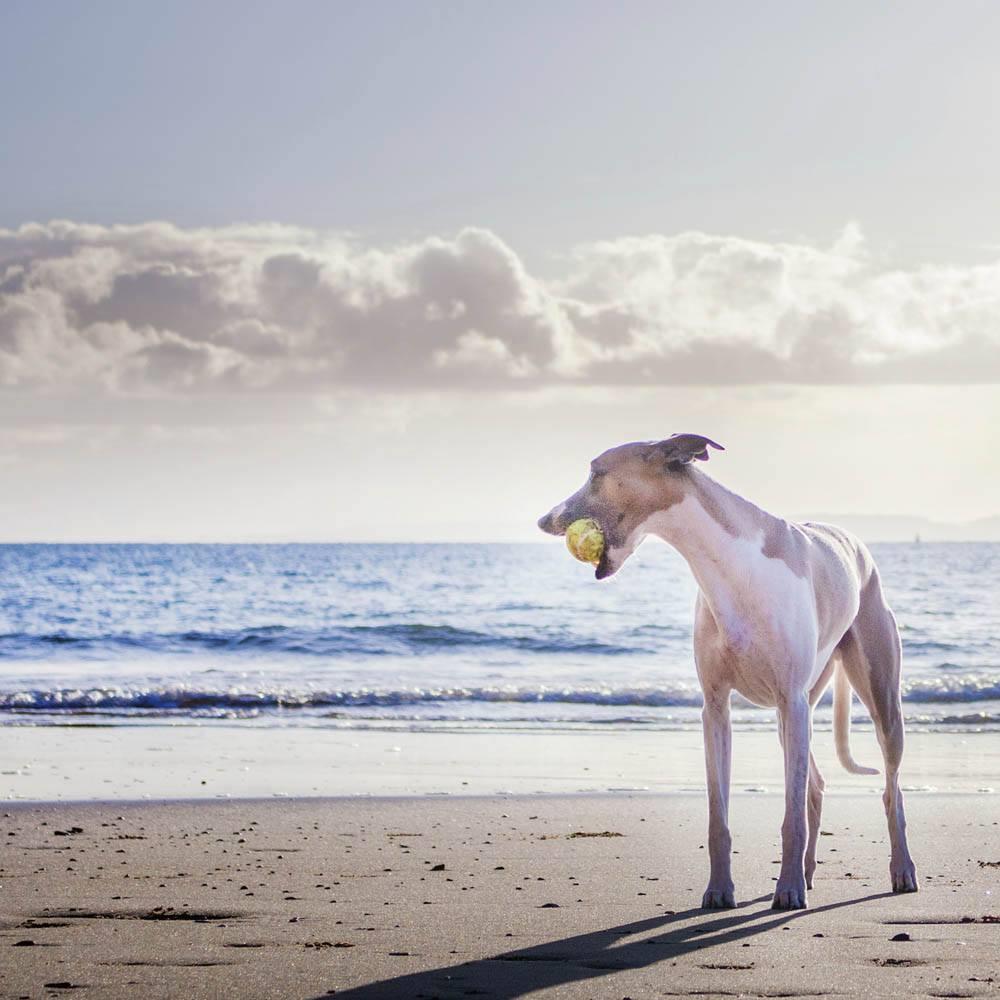 summaryimage.jpg?quality=75