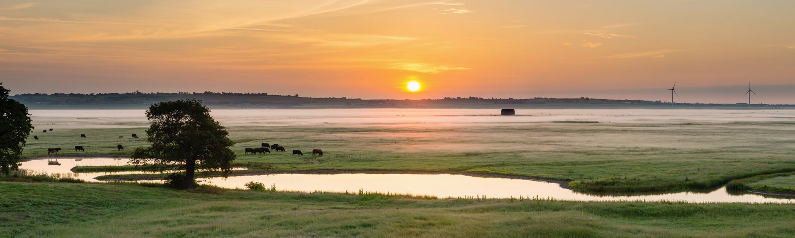Dawn View From The Huts At Kingshill Farm