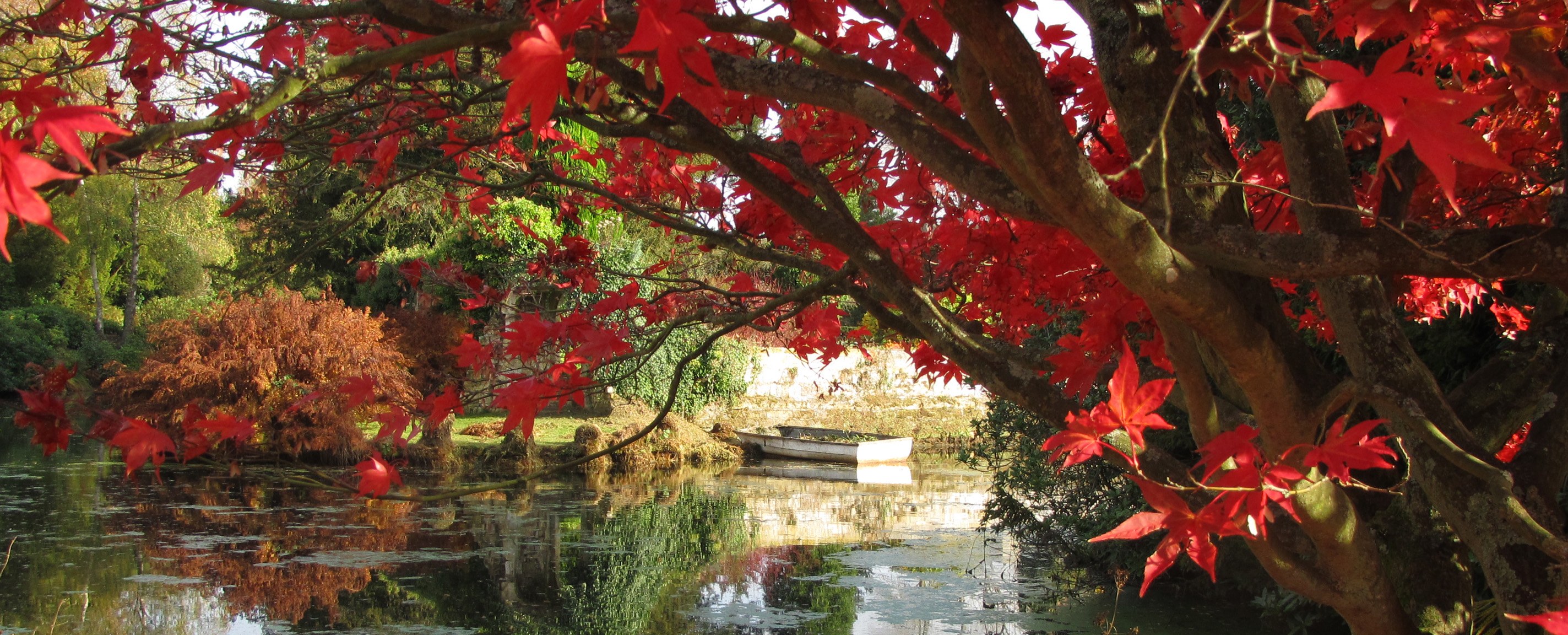 Scotney Castle IMG 0822 (1)