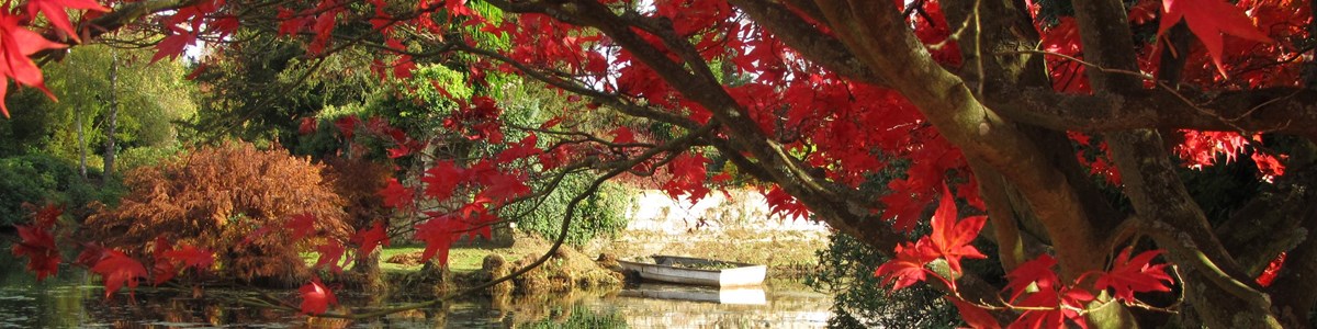 Scotney Castle IMG 0822 (1)
